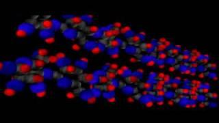 Organic Molecules Carbohydrates | Cell Biology | Biochemistry