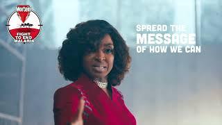 Mortein Insecticide Kills 100% Mosquitoes