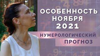 Что ждет нас в ноябре? Нумерологический прогноз на ноябрь 2021!