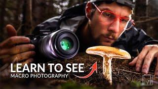 UNLOCKING the ART of SEEING - Mushroom Photography with my Canon RF 100mm Macro Lens