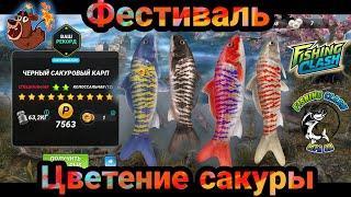 Фестиваль Цветения Сакуры ...Куча карпов / Специальная рыба / Fishing Clash: Реальная рыбалка