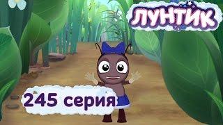 Лунтик и его друзья - 245 серия. Потеряшка