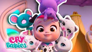 Dotty, os pets não estão bem!  CRY BABIES  Magic Tears  Desenho Infantil | Português do BRASIL