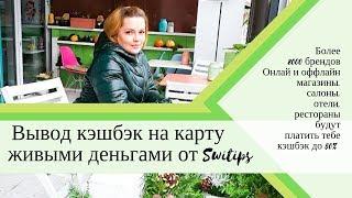 Вывод денег / кэшбэк от Switips /  реально платит