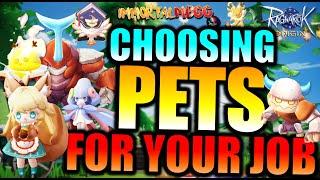 WHICH PET IS BEST FOR EACH JOB CLASS? - RAGNAROK ORIGIN