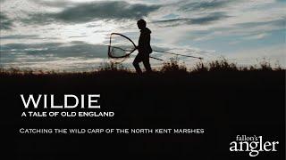 Wildie: a tale of old England. Catching Wild Carp from the North Kent Marshes