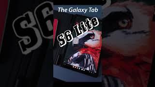 60sec review of Galaxy Tab S6 Lite - great for digital art beginners