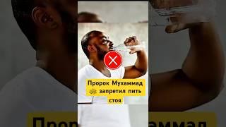 Пророк Мухаммад ﷺ Запретил Пить Стоя! #shotrs