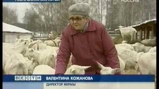 Козья ферма Лукоз в Вестях