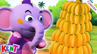 Kent ile muz bul | Learning Videos for Kids| Kent The Elephant Turkish