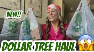 DOLLAR TREE HAUL | NEW | BRAND NAME FINDS