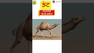 Camel  poem//Camel kavita#shyamaligaurav #hindikavita#poems