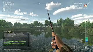 Fishing Planet: Иследование Эверглейдс 2 - Трофейный Сом Вымпельный Морской