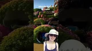 Miracle Garden of Dubai