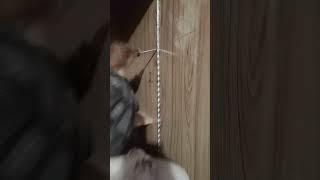 #GM furniture #bedroom fitting