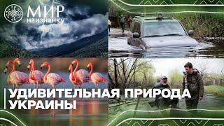 Мир наизнанку. Украина. 4 выпуск (на русском) Африканские птицы и бразильские пейзажи