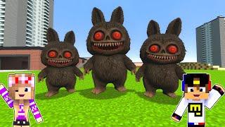 BROKEN MOD OF CURSED LABUBU FROM MEMES IN MINECRAFT NOOB GIRL AND PRO TROLLING VIDEO MINECRAFT