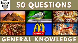 General Knowledge Quiz Trivia #145 | Pyramid, Bird Part, Cinnamon, Bee, McDonalds, Superdog