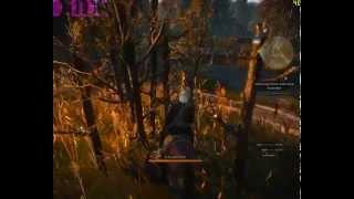 Witcher 3 i5-4460+GTX 750 Ti teszt (very high)