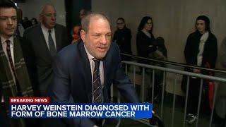 Harvey Weinstein diagnosed with form of bone marrow cancer, sources say