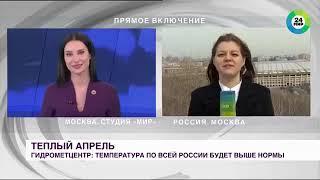 Собака украла микрофон во время прямого эфира