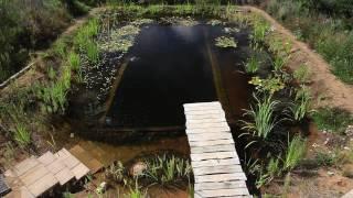 Natural Pools - Organic Pools selfbuild