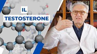 Tutto quello che DEVI SAPERE sul TESTOSTERONE!