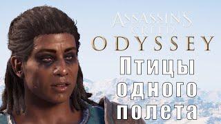 Прохождение Assassin's Creed Odyssey - Птицы одного полета (КОШМАР)