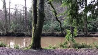 Stover Country Park, Devon