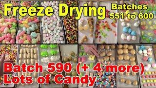 Batch 590 (Plus 4 More) Freeze Drying 5 Batches of Candy