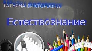 Естествознание, 4 класс,  Малые космические тела