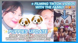 PUPPIES UPDATE  + REUNITED WITH OUR FAMILY  (FIRST VLOG SA OUTSIDE WORLD NGAYONG QUARANTINE!!)