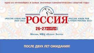 Выставка собак "Россия". 26 ноября 2022