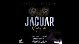 JAGUAR RIDDIM - IRELAND RECORDS - DANCEHALL FULL PROMO - NOV 2020 - {DJRYNHOLD MIX}