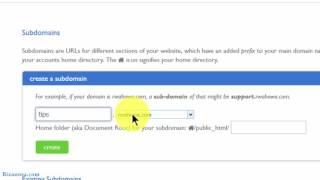 12 How to Create a subdomain eg  tips.bizanosa com