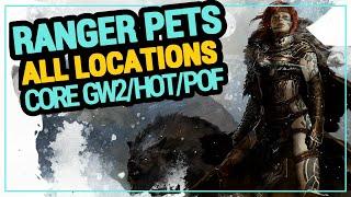 GW2 RANGER PET LOCATIONS - CORE Guild Wars 2 / HOT /POF