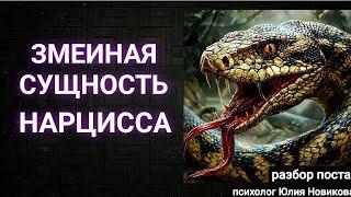 Змеиная сущность нарцисса #нарцисс