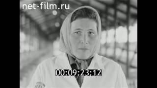 1986г. д. Полевая (Нурсола) Волжского района Марий Эл