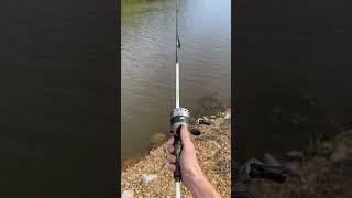 Zebco 33 on a $70 pole? #fishing