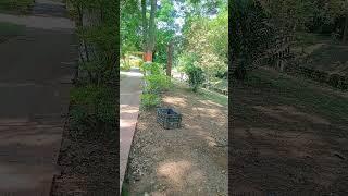 best park in ranchi#trending #india #shortvideo