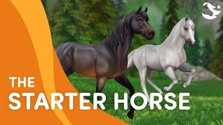 Meet the UPDATED Starter Horse   | Star Stable Breeds