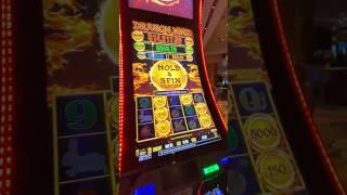 Dragon link low roll W