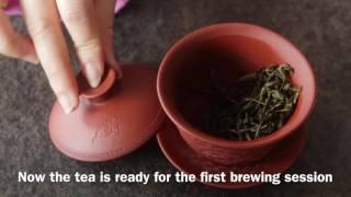 Yixing Gaiwan Brewing Fenghuang Dancong Oolong Tea - Dancong Tea