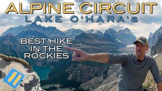 Hiking the BEST trail in the ROCKIES: Lake O'Hara's Alpine Circuit