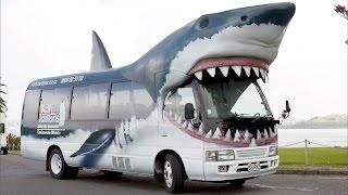 COCHES de LOCURA!  Compilación vehículos personalizados - CRAZY CARS  - Compilation