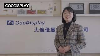 Introduction — Good Display, professional e-paper display solution provider