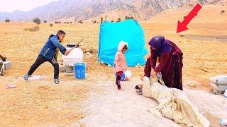 Surviving Ruqiya's children: mother's effort.  Nomads for forgiveness