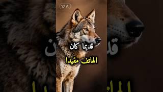 حكم وأقوال ملهمه عن واقع الحياة #حياة#حكم#أقوال#shorts #إلهام#تحفيز#نصائح_حياتية
