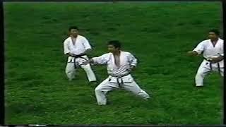 Хейан Шодан Бункай | Heian Shodan Bunkai