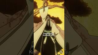 Kyoraku Shunsui ‘s Bankai VS Lille Barro Sternritter X - Bleach Thousand Year Blood War